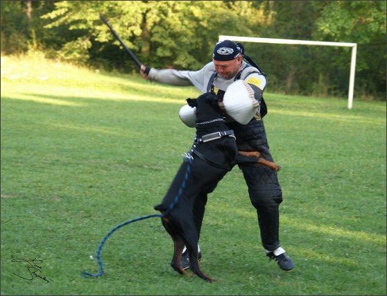 Summer training camp - Jelenec - 2007